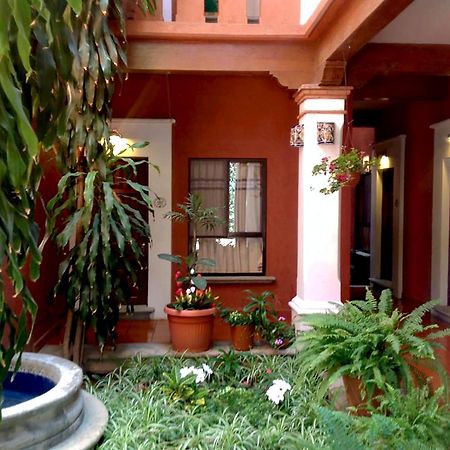 Hotel Maela Oaxaca Екстериор снимка