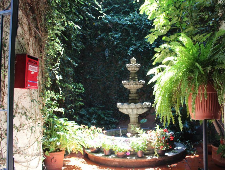 Hotel Maela Oaxaca Екстериор снимка